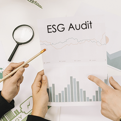 The Ultimate ESG Audits Checklist